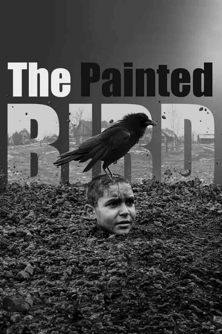Poster for The Painted Bird